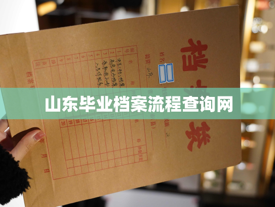 山东毕业档案流程查询网