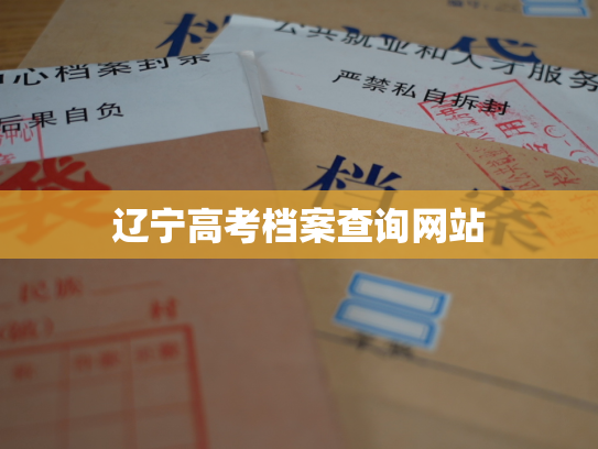 辽宁高考档案查询网站