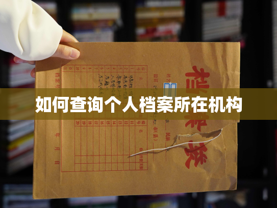如何查询个人档案所在机构