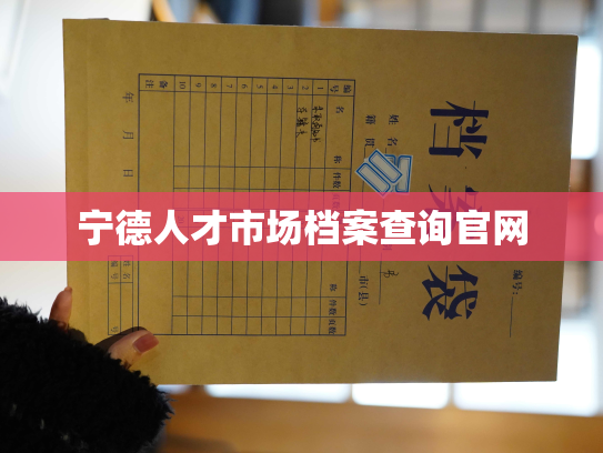 宁德人才市场档案查询官网