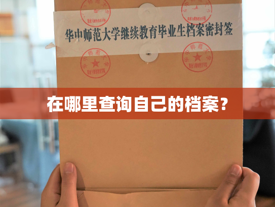在哪里查询自己的档案？