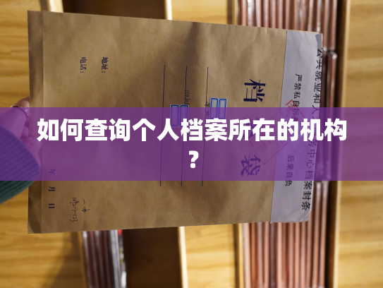 如何查询个人档案所在的机构？