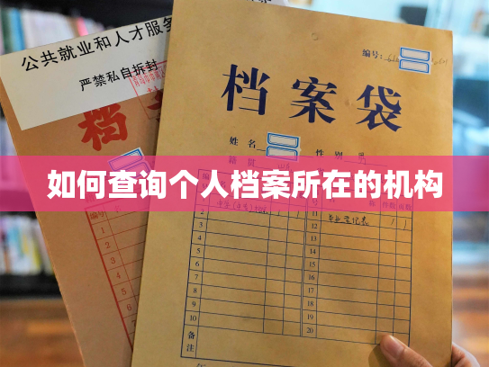 如何查询个人档案所在的机构