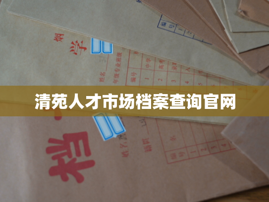 清苑人才市场档案查询官网