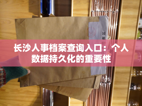 长沙人事档案查询入口：个人数据持久化的重要性