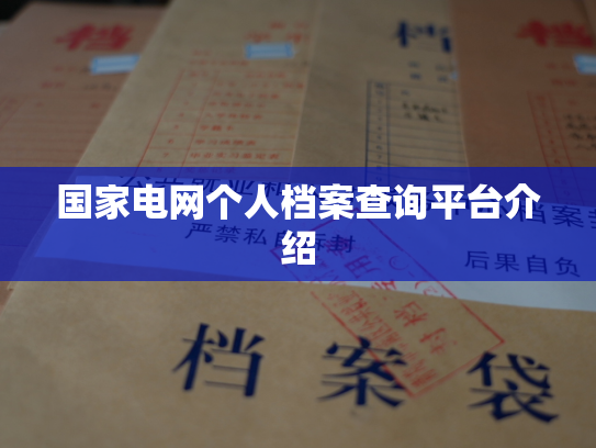 国家电网个人档案查询平台介绍