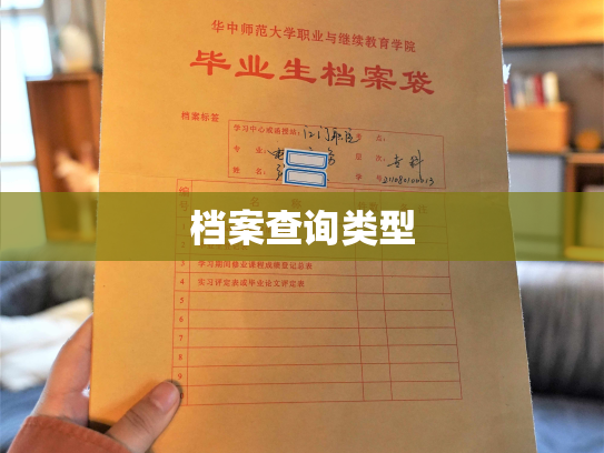 档案查询类型