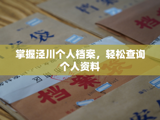掌握泾川个人档案，轻松查询个人资料