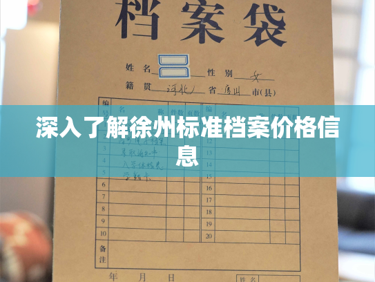深入了解徐州标准档案价格信息