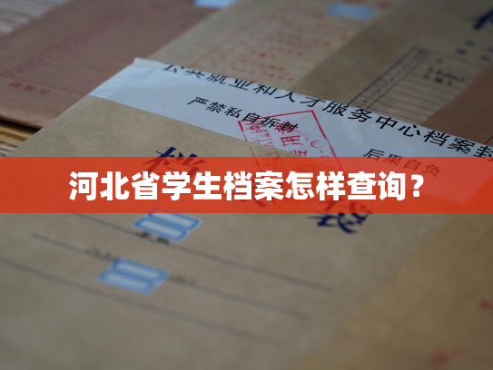 河北省学生档案怎样查询？