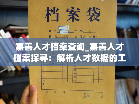 嘉善人才档案查询_嘉善人才档案探寻：解析人才数据的工具