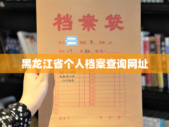 黑龙江省个人档案查询网址