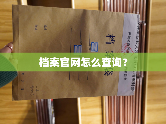 档案官网怎么查询？