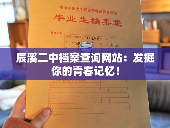 辰溪二中档案查询网站：发掘你的青春记忆！