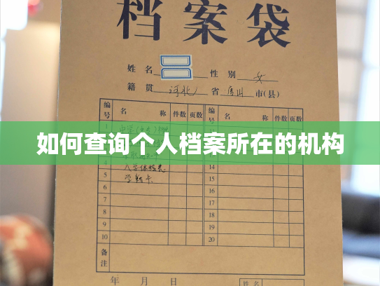 如何查询个人档案所在的机构