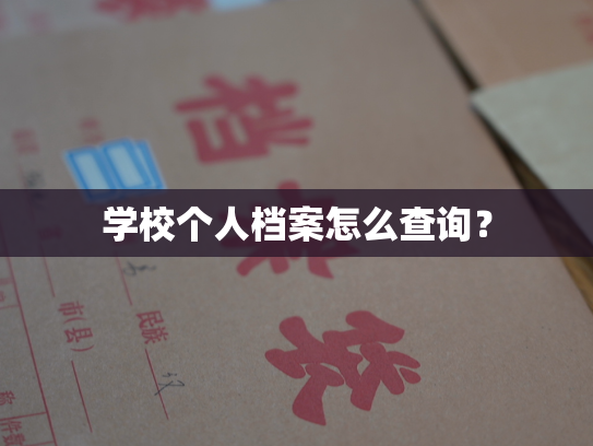学校个人档案怎么查询？