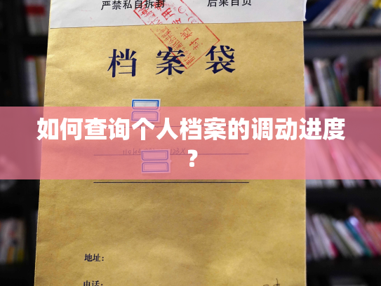 如何查询个人档案的调动进度？