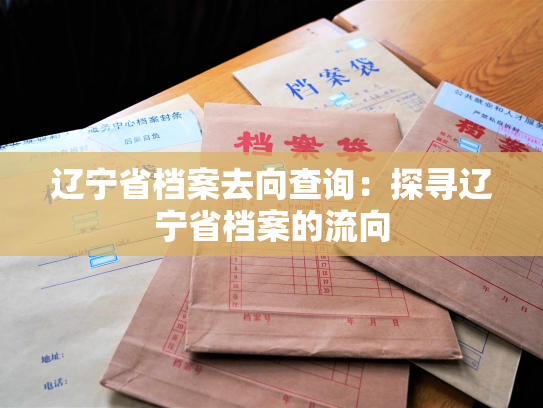 辽宁省档案去向查询：探寻辽宁省档案的流向