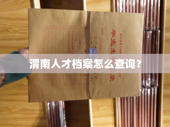 渭南人才档案怎么查询？
