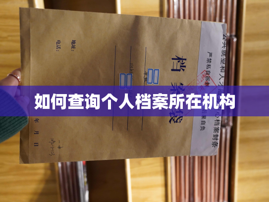 如何查询个人档案所在机构