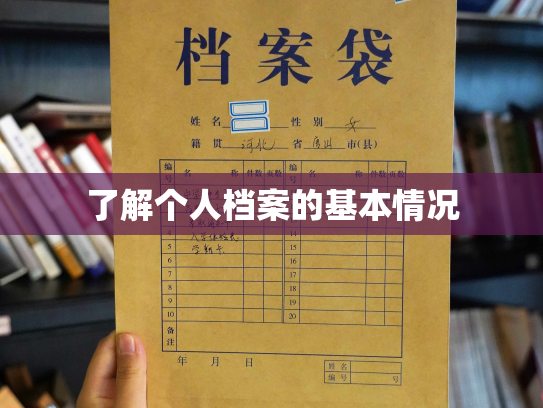 了解个人档案的基本情况