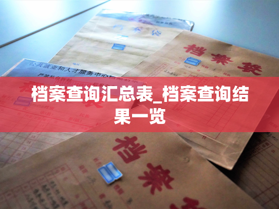 档案查询汇总表_档案查询结果一览