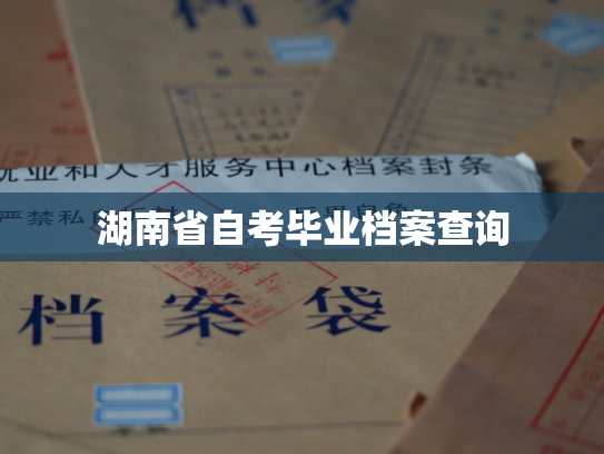 湖南省自考毕业档案查询