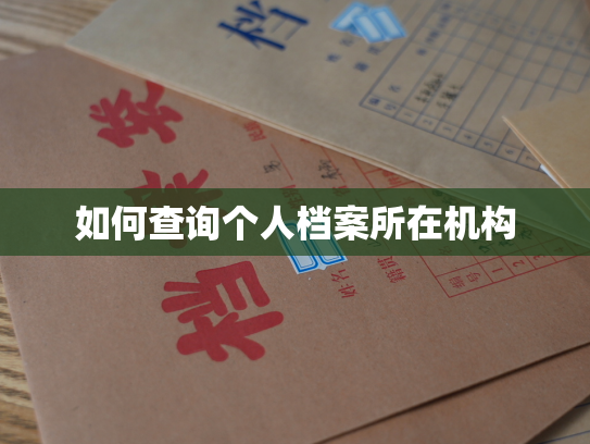 如何查询个人档案所在机构