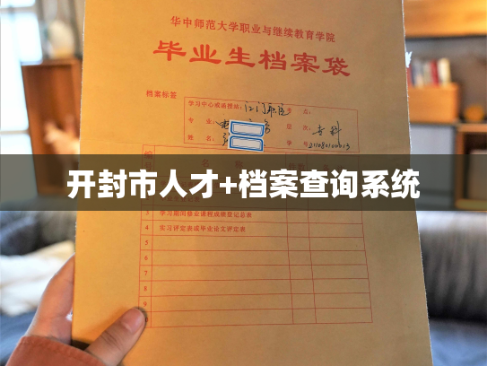开封市人才+档案查询系统