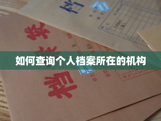 如何查询个人档案所在的机构