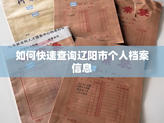 如何快速查询辽阳市个人档案信息