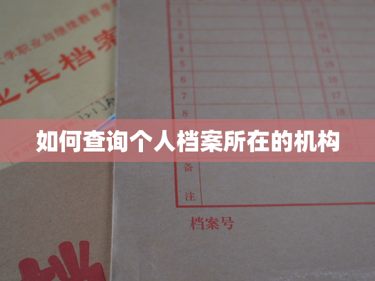 如何查询个人档案所在的机构