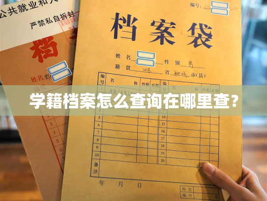 学籍档案怎么查询在哪里查？