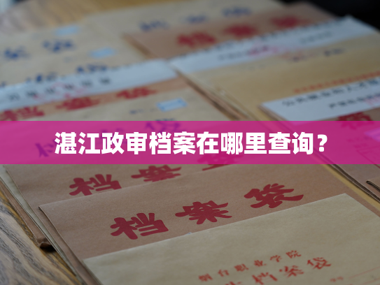 湛江政审档案在哪里查询？