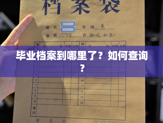 毕业档案到哪里了？如何查询？