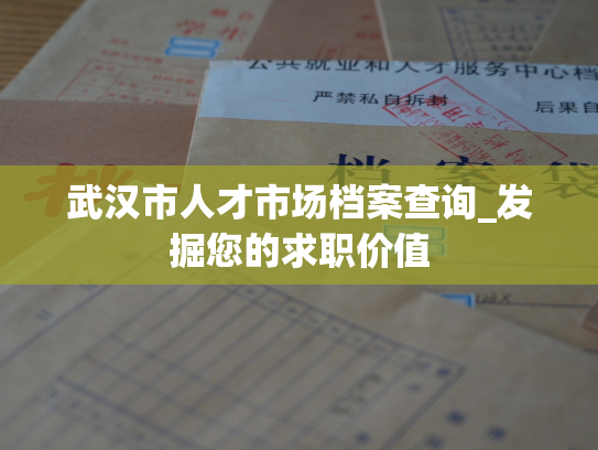 武汉市人才市场档案查询_发掘您的求职价值