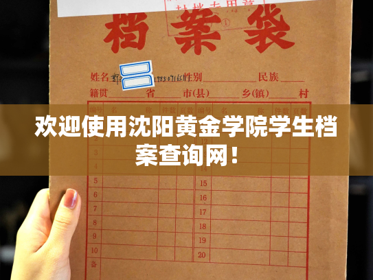 欢迎使用沈阳黄金学院学生档案查询网！