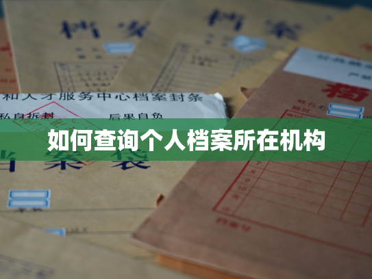 如何查询个人档案所在机构