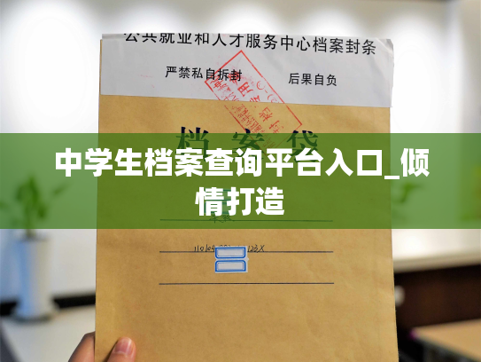 中学生档案查询平台入口_倾情打造