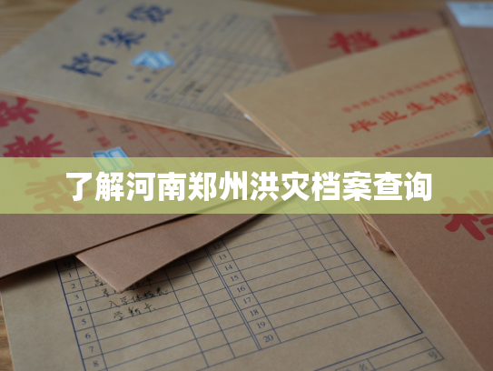 了解河南郑州洪灾档案查询