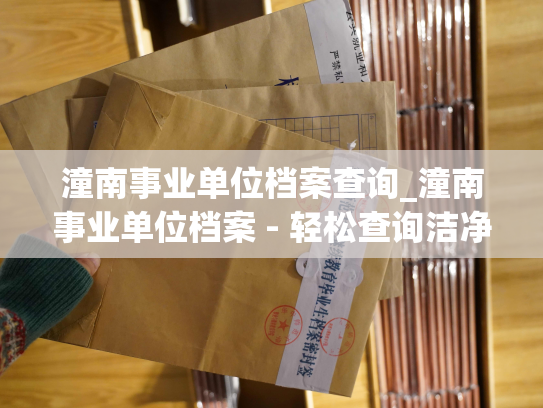 潼南事业单位档案查询_潼南事业单位档案 - 轻松查询洁净便捷指南