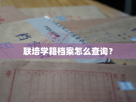 联培学籍档案怎么查询？