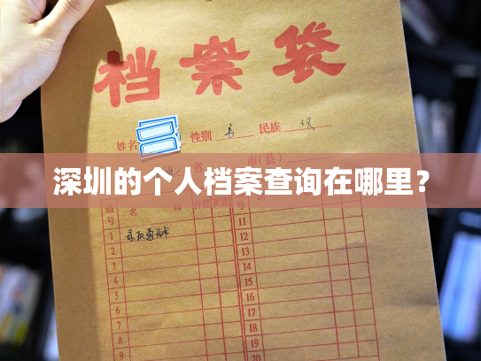 深圳的个人档案查询在哪里？