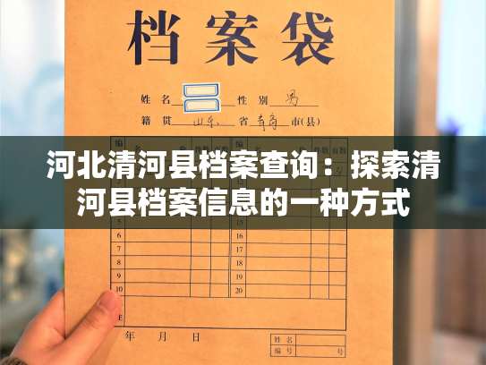 河北清河县档案查询：探索清河县档案信息的一种方式
