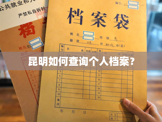昆明如何查询个人档案？