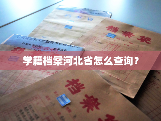 学籍档案河北省怎么查询？