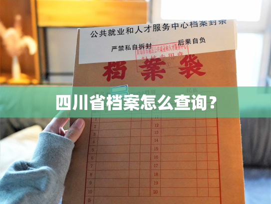 四川省档案怎么查询？