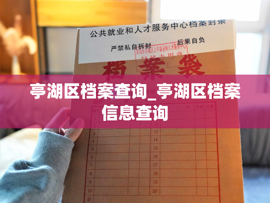 亭湖区档案查询_亭湖区档案信息查询
