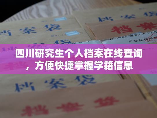 四川研究生个人档案在线查询，方便快捷掌握学籍信息