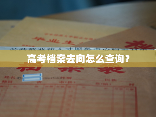 高考档案去向怎么查询？